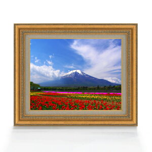 yG MdグztAxmR F6TCY z yLoXEAN/zz  i IWiCeAG  558×467mm   v[g Mtg JXj J
