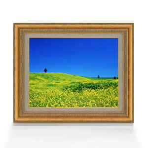 yG Mdグzt-؂̉Ԕ- F6TCY z yLoXEAN/zz  i IWiCeAG  558×467mm   v[g Mtg JXj J