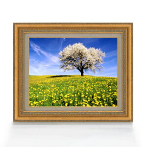 yG Mdグzt-ƍ؂̉- F6TCY z yLoXEAN/zz  i IWiCeAG  558×467mm   v[g Mtg JXj 