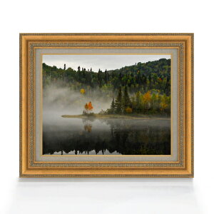 yG MdグzAF[NA F6TCY z yLoXEAN/zz  i IWiCeAG  558×467mm  