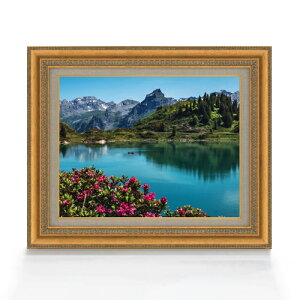 yG MdグzeBgXAŘΔ F6TCY z yLoXEAN/zz  i IWiCeAG  558×467mm  