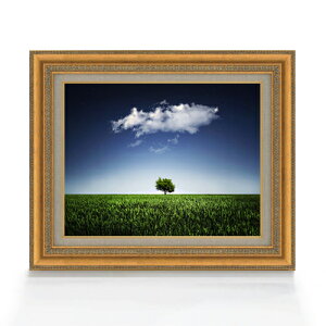 yG Mdグzi`[ANightsky F6TCY z yLoXEAN/zz  i IWiCeAG  558×467mm  