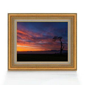 yG Mdグzc-N[uh̕i- F6TCY z yLoXEAN/zz  i IWiCeAG  558×467mm  