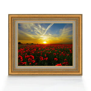 yG Mdグz[Al F6TCY z yLoXEAN/zz  i IWiCeAG  558×467mm   v[g Mtg JXj J