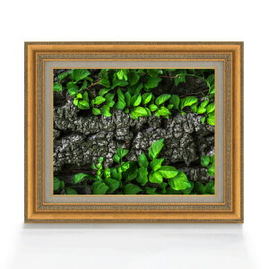 yG Mdグz΂̑ F6TCY z yLoXEAN/zz  i IWiCeAG  558×467mm   v[g Mtg JXj J