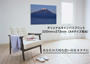 IWiLoXtHgvg 220mm×273mmiA4TCYj F3 IWi ʐ^Mtg LO ʐ^ vg Ǌ| LOi  v[g 蕨 j I[_[Ch EF