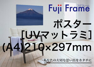 IWitHg|X^[vgmUV}bg~l[gHn 210mm×297mmiA4TCYj IWi |X^[ ʐ^Mtg LO ʐ^ vg Ǌ| LOi  v[g 蕨 