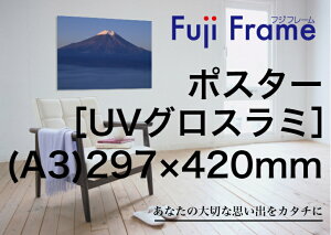IWitHg|X^[vgmUVOX~l[gHn 297mm×420mmiA3TCYj IWi |X^[ ʐ^Mtg LO ʐ^ vg Ǌ| LOi  v[g 蕨 