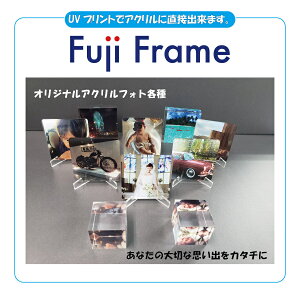 IWiANtHg ʐ^Mtg LO ʐ^ vg Ǌ| LOi  v[g 蕨 j I[_[Ch