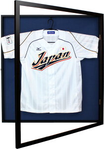 jtH[P[X ZsA/lCr[(L) WptbNt