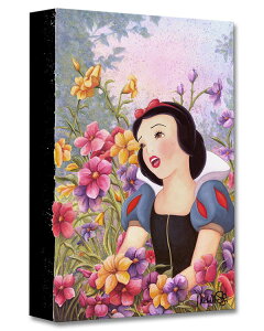 白雪姫 ディズニー 美術品の人気商品 通販 価格比較 価格 Com