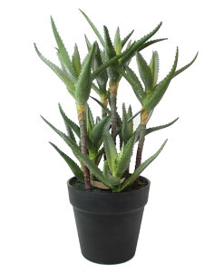 ϗtA tFCNO[uAGL_` |bgvCeA  K[f G DIY