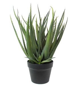 ϗtA tFCNO[uAGx |bg 52vCeA  K[f G DIY