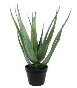 ϗtA tFCNO[uAGx |bg 57vCeA  K[f G DIY