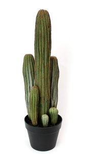 ϗtA tFCNO[uT{e |bg 63vCeA  K[f G DIY