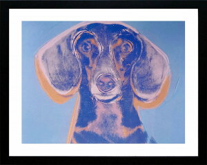 yr[TtzAfB EH[zu[X̃|[g[g,1976vWptbNt|X^[ |bvA[g CeA A[g GCeA ͗lւ  AfBEH[z A