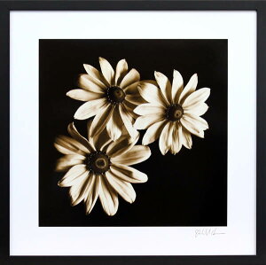 yzmg[G }CP n\uX[ ubNAC X[UYvmg[ CeA G A[g mN JXj Vzj GCeA |X^[yAiz