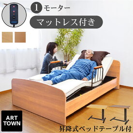 電動ベッド 介護ベッド 電動 1モーター ベッド ケア1( サイドテーブル 付き)-ART 【介護向け】 介護 ベッド モーター ベッド リクライニング 車椅子| 介護用ベッド 電動リクライニングベッド 電動リクライニング 介護ベット 病院 敬老の日