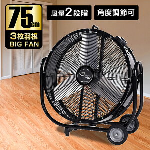 iJg~ BF-75V Ɩp@ ^H HƐ 75cm S rbOt@ Ɩ@l @ YƐ z C @ 75cmH LX^[t Ɩp @ @ ^ t@ T[L