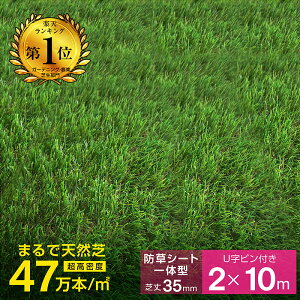 yr[TzlH hV[ǧ^ hV[gsv Ő lHyōNIňlIz O[ i ό10N x47{ ŏ 35mm [ lH TbJ[ lH