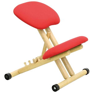 学習椅子 バランスチェア 学習チェア 学習いす 学習机 勉強机 ba004 単品 勉強机 チェア チェアー オフィス 子供部屋 子供用 勉強いす