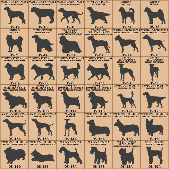 市場 犬 121犬種 オーダー 名入れ かっこいい 車 ステッカー 犬ステッカー かわいい 名前 Mサイズ