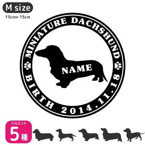 ~j`A_bNX XebJ[ yMTCYzybg  J[XebJ[ ԃXebJ[ ybgXebJ[ O l[ a IWi I[_[ 킢   XebJ[