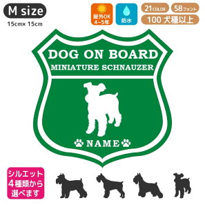 ~j`A ViEU[ JbeBO XebJ[ [g66 yMTCYz킢  ybg ROUTE66  J[XebJ[ ԃXebJ[ ybgXebJ[ O l[ IWi  