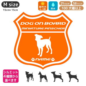 ~j`A sV[ XebJ[ [g66 yMTCYz XebJ[ ybg O l[  I[_[ 킢 ~j`AsV[  XebJ[ ~js ObY J[X