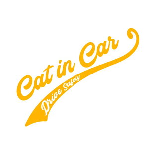 CAT IN CAR JbeBO XebJ[ L ybg  J[XebJ[ ԃXebJ[ ybgXebJ[ IWi  LXebJ[  AEBhE AKX