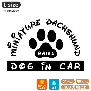  XebJ[ 121 yLTCYz  XebJ[  XebJ[ XebJ[ O  IWi  XebJ[ I[_[ 킢 XebJ[    VG