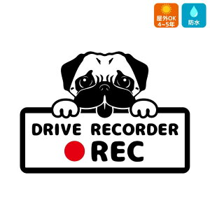 pO hCuR[_[ XebJ[킢  hR ڎ ^] ̖h~ S^] ^ h ZLeB΍ J[TC AKX AEBhE  DRIVE RECORDER