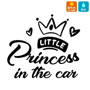 PRINCESS IN CAR  XebJ[ P Pl킢  xr[CJ[ BABY IN CAR