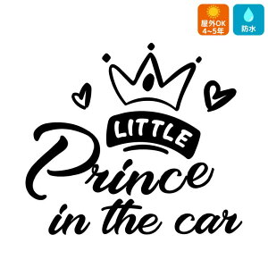 PRINCE IN CAR  XebJ[ l 킢  xr[CJ[