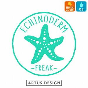 qgf t[N  XebJ[ star fish 킢  Ejk Lk 瓮 r[`R[~O LkE  freak V[E[` LNq[ X^[tBbV