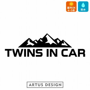 TWINS IN CAR  XebJ[ AEghA  킢   cCYCJ[ Lv camp