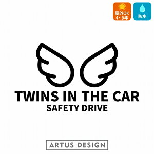 TWINS IN CAR  XebJ[ GWF 킢   cCYCJ[ EBO Vg H