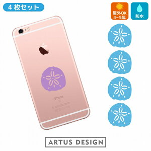 XJVJVp XebJ[ y4Zbg/3cmz sand dollar sea urchin 킢  Ejk Lk 瓮  LkE  freak V[E[` LNq[ qgf JVp