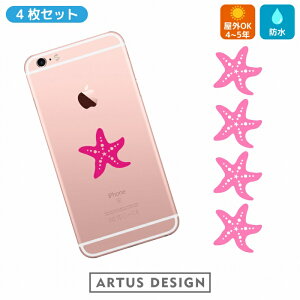 qgf XebJ[ y4Zbg/3cmz starfish sea urchin 킢  Ejk Lk 瓮  LkE  freak V[E[` LNq[ JVp