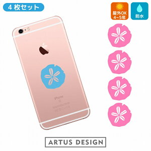 JVp XebJ[ y4Zbg/3cmz sand dollar sea urchin 킢  Ejk Lk 瓮  LkE  freak V[E[` LNq[ qgf XJVJVp