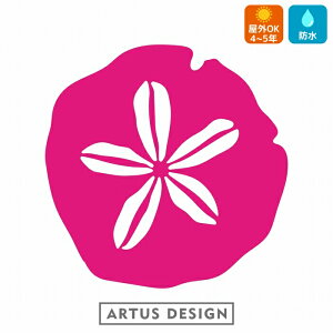 JVp XebJ[ sand dollar sea urchin 킢  Ejk Lk 瓮  LkE  freak V[E[` LNq[ qgf JVp