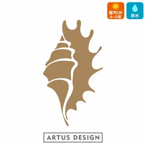 LkA XebJ[ shell sea urchin 킢  Ejk Lk 瓮  LkE  freak V[E[` LNq[ qgf JVp