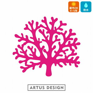 TS XebJ[ coral shell sea urchin 킢  Ejk Lk 瓮  LkE  freak V[E[` LNq[ qgf JVp