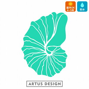 LkC XebJ[ shell sea urchin 킢  Ejk Lk 瓮  LkE  freak V[E[` LNq[ qgf JVp