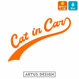 CAT IN CAR  XebJ[AJ JtHjA AEghA  킢  LbgCJ[