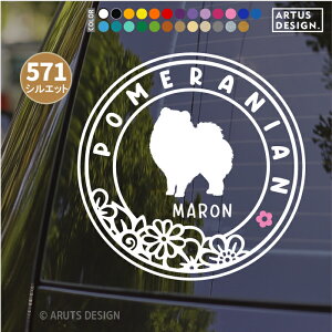  XebJ[   킢   ybg  O  |jA VGbg I[_[ AKX JbeBOXebJ[ ] fJ[ V[  hbOC