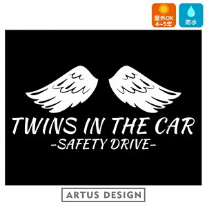 TWINS IN CAR  XebJ[ GWF 킢   cCYCJ[ EBO Vg H