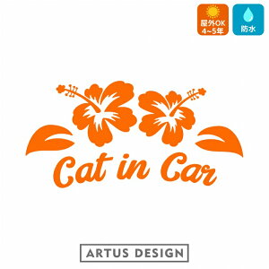CAT IN CAR  XebJ[ nCrXJX  킢  LbgCJ[ L T[tB r[` C sea surf JtHjA 