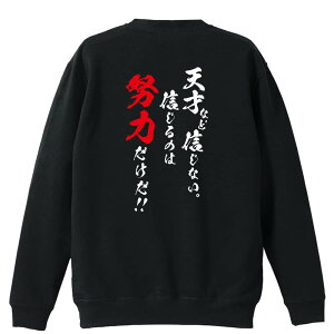 X|[cEFA tBbglX ^ g[i[ XEFbg Y fB[X WjA pC K    ꖳ 100% LbY 傫TCY uV˂ȂǐM