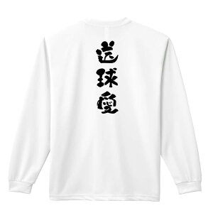 nh{[ T TVc Y fB[X WjA K hC  tVc ӂ   LbY ꖳ u 킢MfUCv A[g[